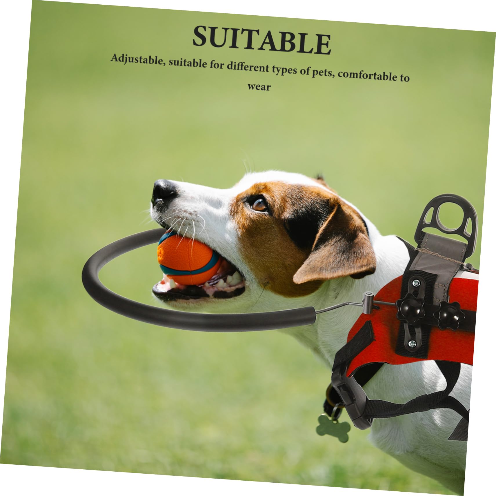 COLLBATH Hundegeschirr für Blinde Hunde mit Antikollisionsring Verstellbar für Sichere Erkundungen im Freien Leicht und Praktisch für Reisen ohne Branding und Superlative