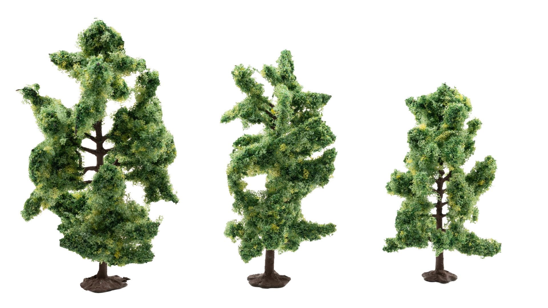 Deciduous Trees