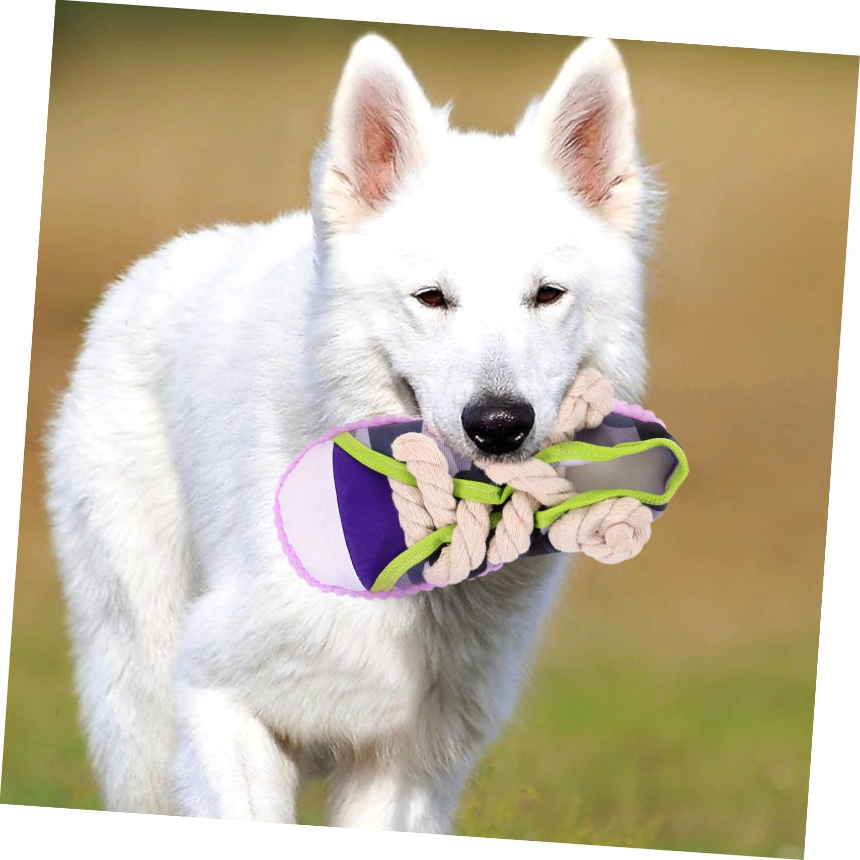 UKCOCO Jouet Chien à Mâcher Forme Chaussure Jouet Couineur pour Animaux De Compagnie pour Chiot Et Chien