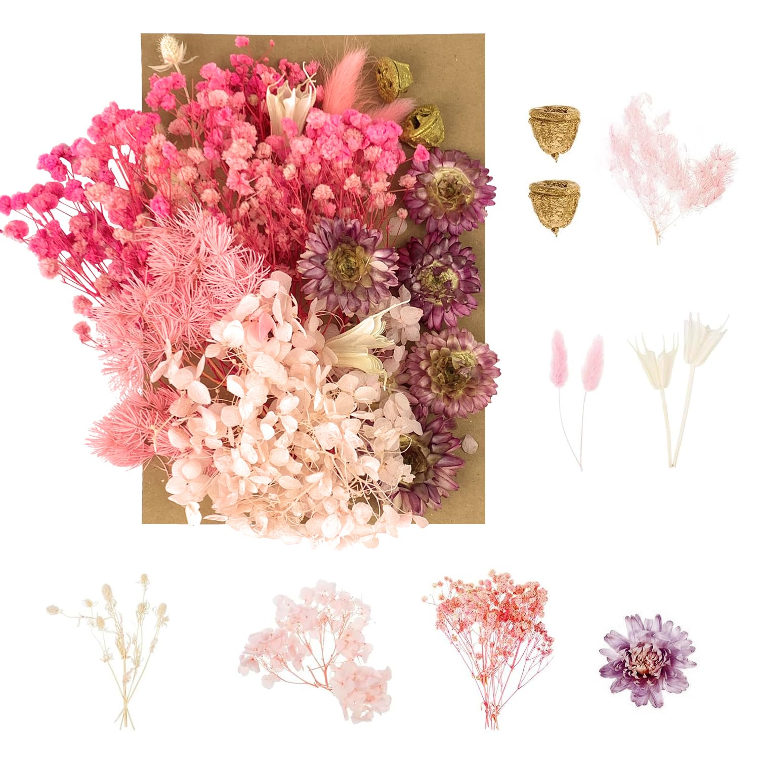 Dried Flowers, Pressed Flowers Dry Flowers Dried Flowers Crafts for Diy Arts Resin Scrapbooking Jewelry Making Floral Decorations(Pink)