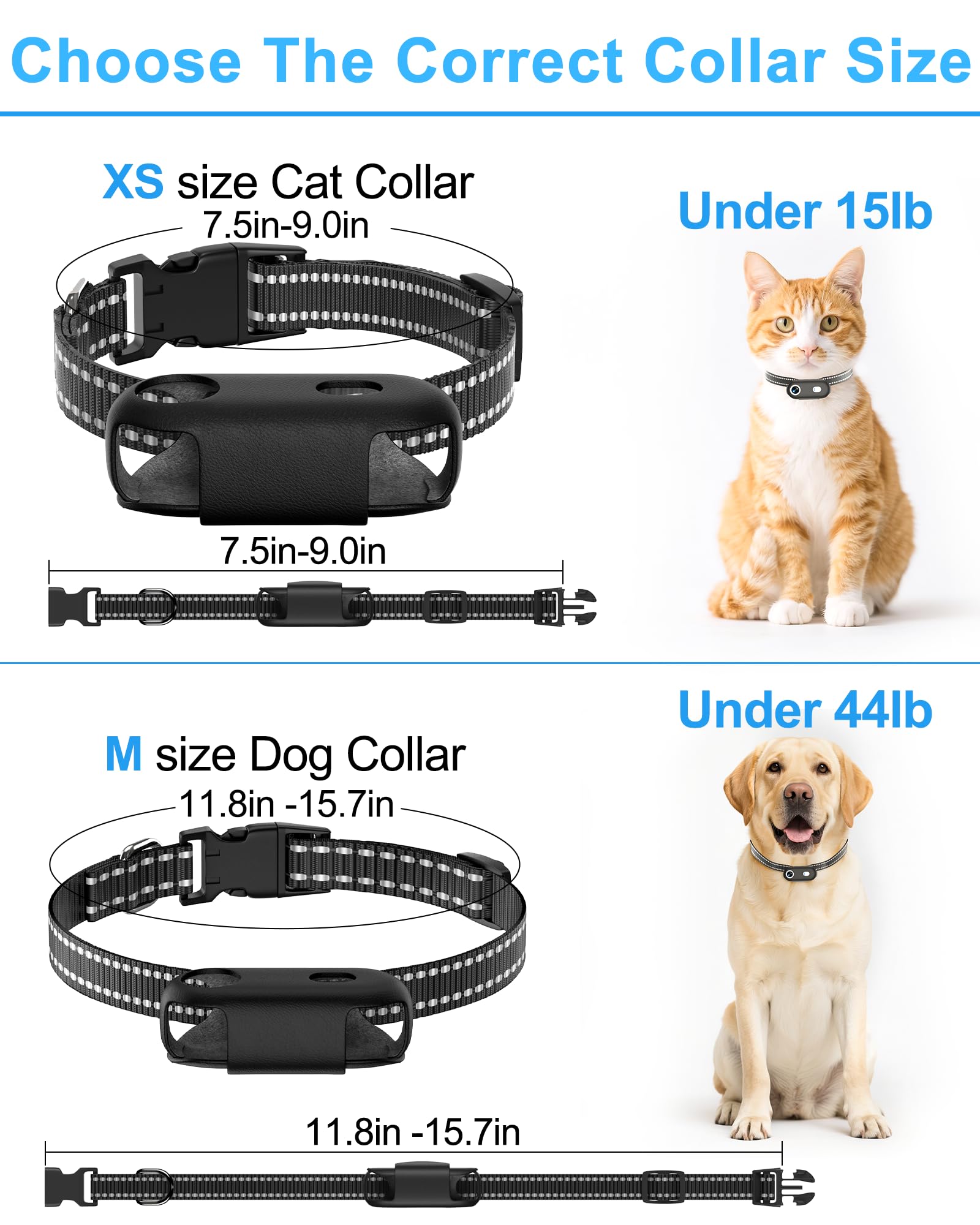 Collare per fotocamera per cani e gatti con app per telefono, registrazione video HD 1080p, telecamera POV per animali domestici XS/M, per cani e gatti grandi, telecamere senza fili con