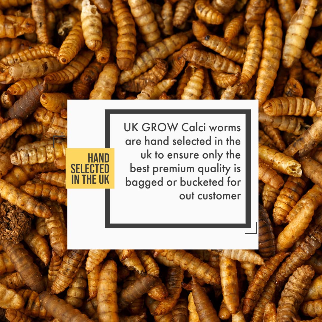 UK GROW Premium - 2L - Calci worms/Black soldier fly lave Similar to Dried Mealworms (2L), Brown, 1 g (Pack of 1) - Image 3