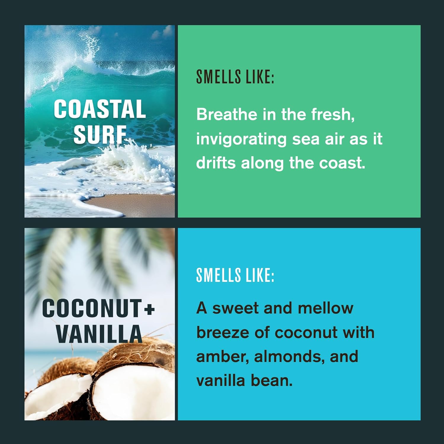 Every Man Jack Men's Pro Deodorant - 48-Hour Odor Defense Blend - Aluminum Free - Contains Postbiotics, Tapioca Starch & Oat Powder - Coastal Surf & Coconut + Vanilla Bundle - 2.6 oz (2 Pack) - Image 5