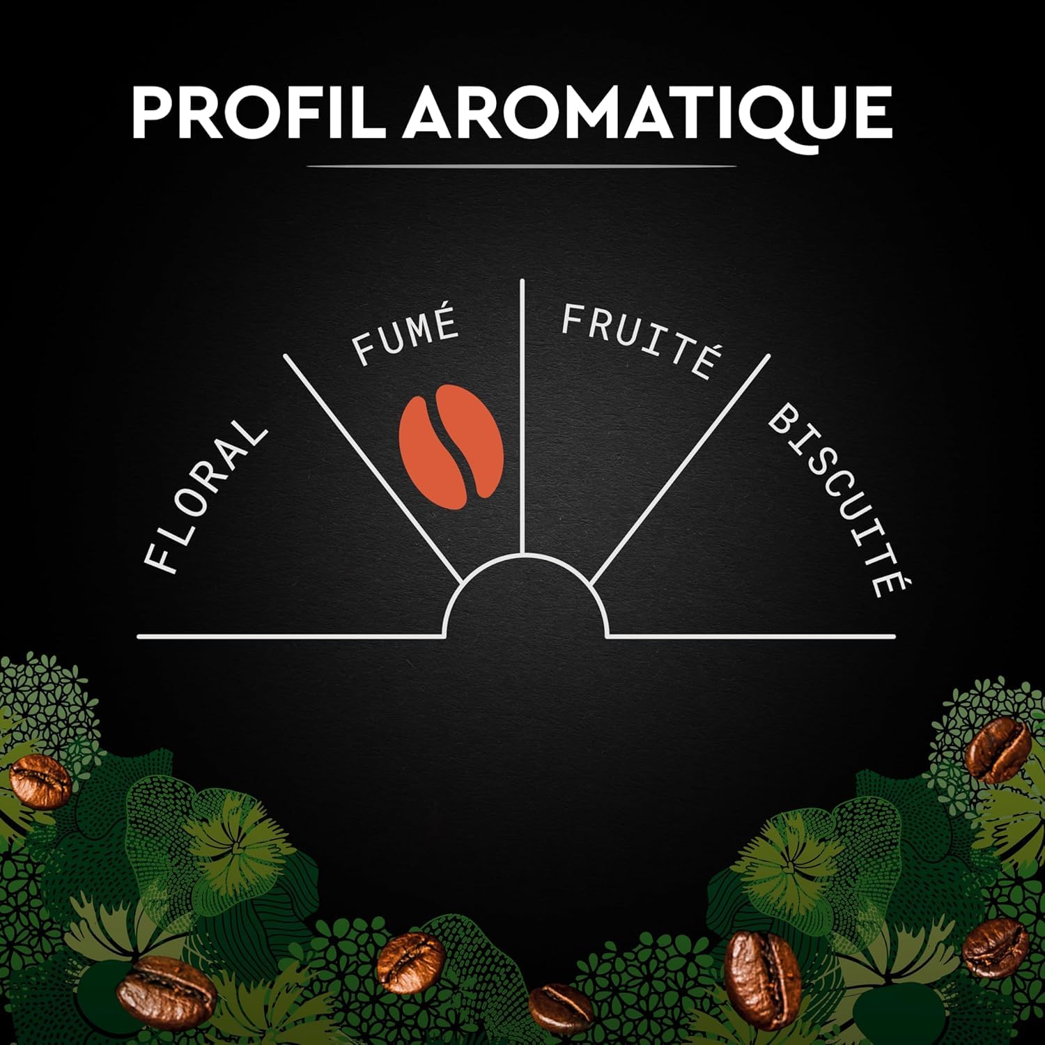 CARTE NOIRE - Bio Intense - Café en Grains Torréfiés - Pur Arabica Biologique - Paquet de 6 kg