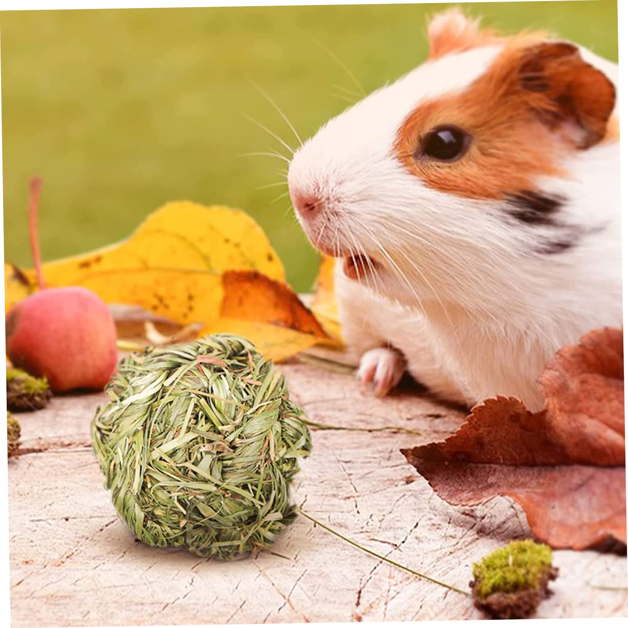 Angoily 18pièces Jouets à Mâcher pour Cobayes Chinchillas Et Petits Animaux Accessoires De Jeu Molar pour Rongeurs
