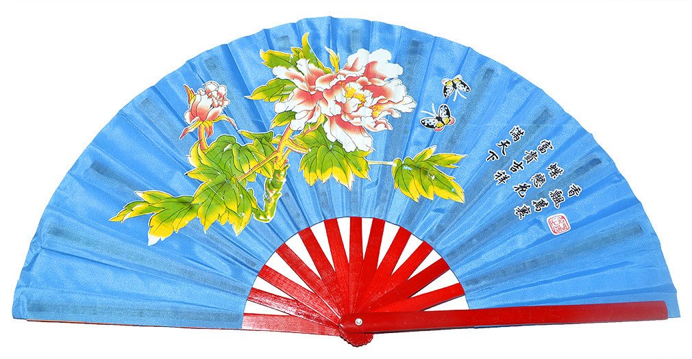 Chinese Kung Fu Tai Chi Fan Arts Dance/Practice Performance Bamboo Folding Fan (Blue)