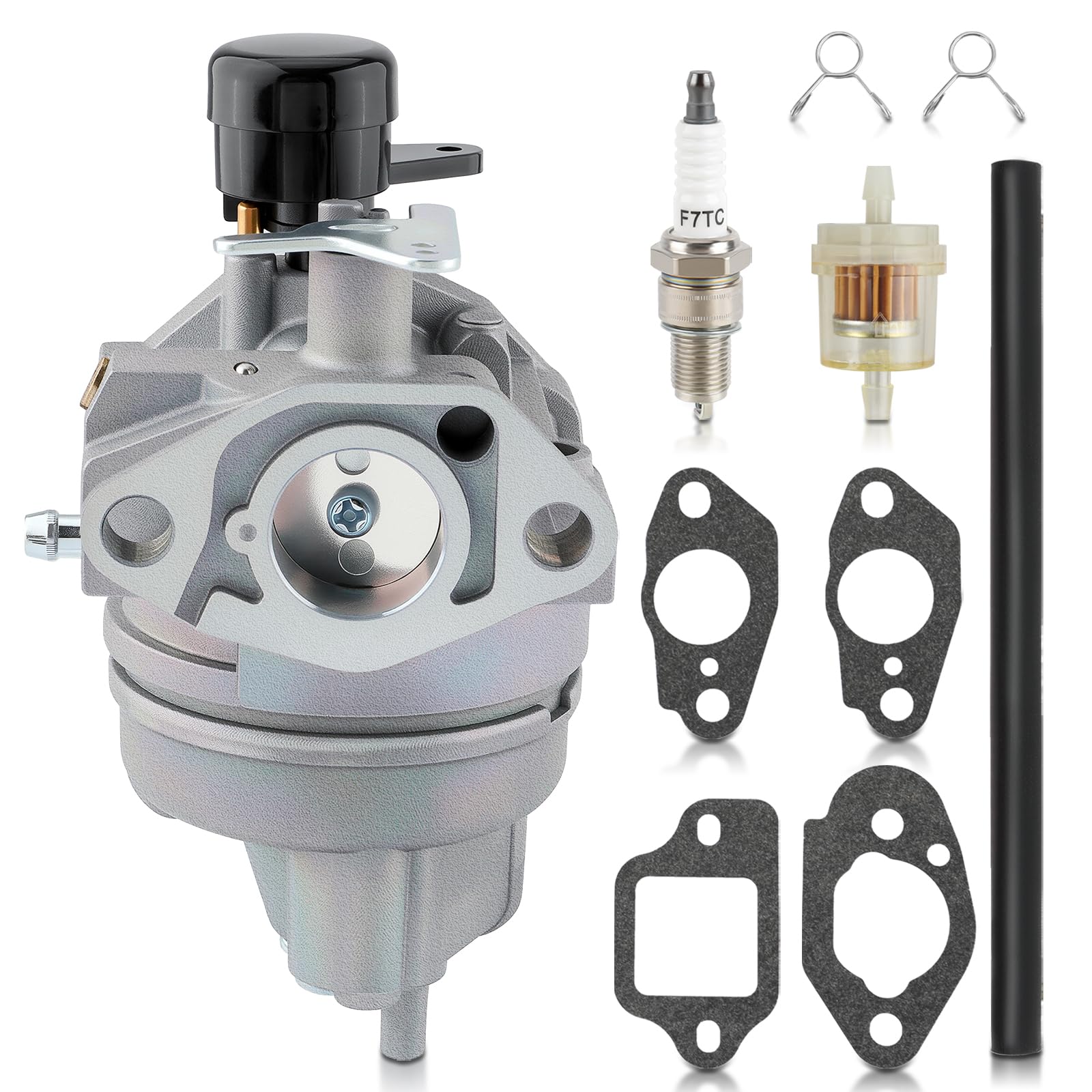 Amazon.com: AUTOKAY 16100-Z0J-H03 Carburetor Assembly with Gaskets