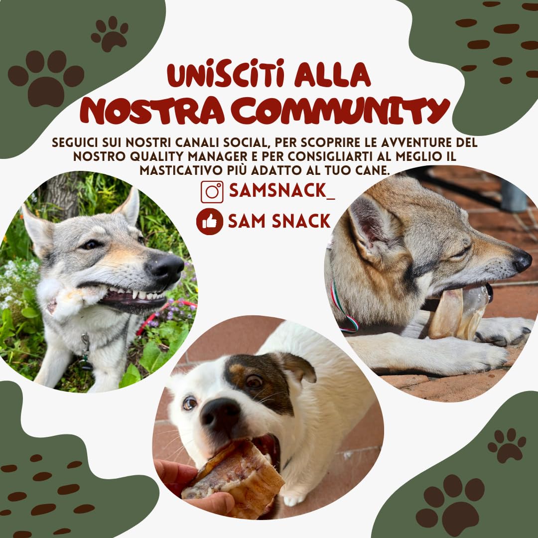 Sam Snack Orecchie di Maiale XL masticativi premium per cani 100% Naturali 3 PZ