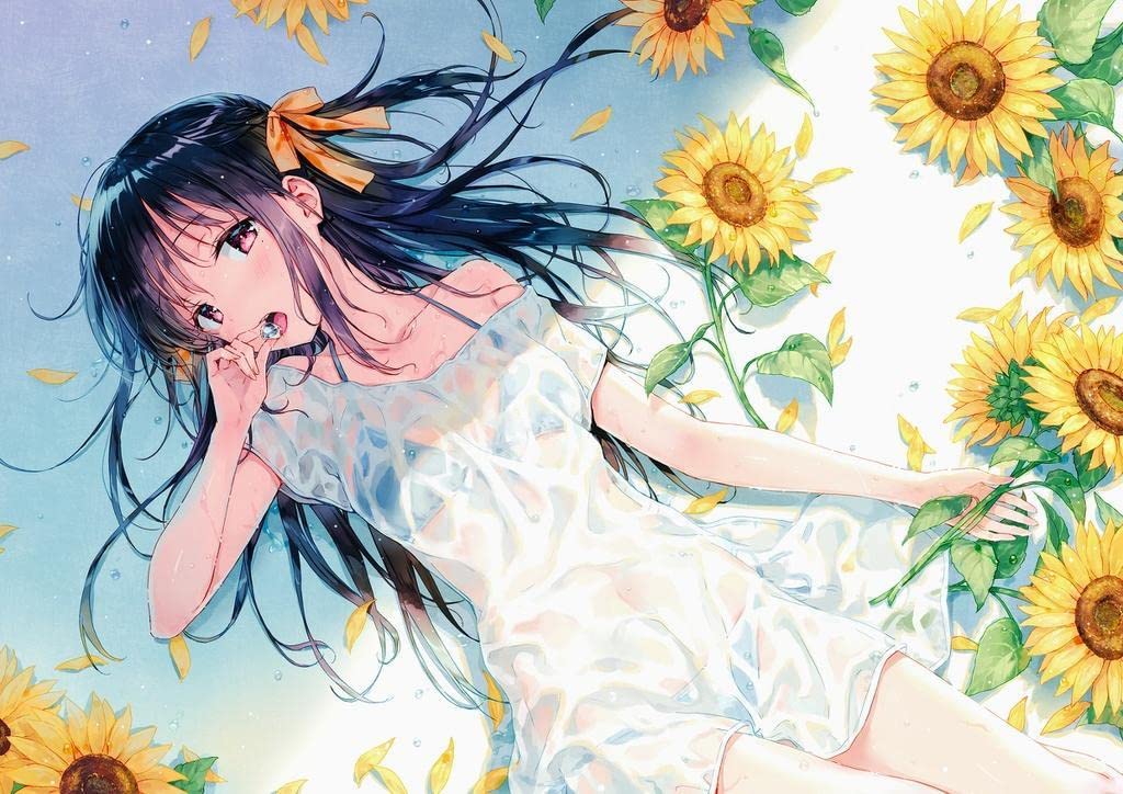Amazon.co.jp: Hiten 折りたたみ式A1タペストリー 夏色 : おもちゃ
