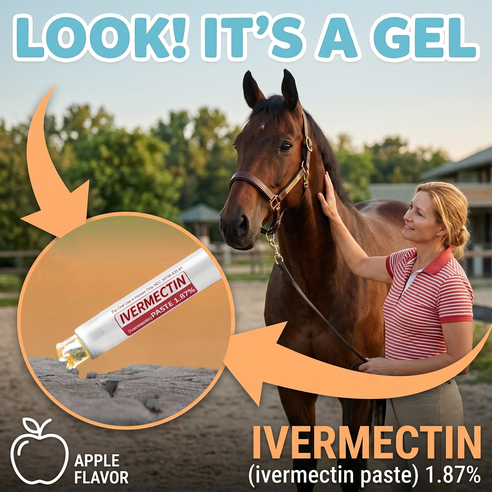 Lot de 6 gels pour chevaux 1,87 % goût pomme pour chevaux jusqu'à 567 kg - Gel simple pour tous les âges