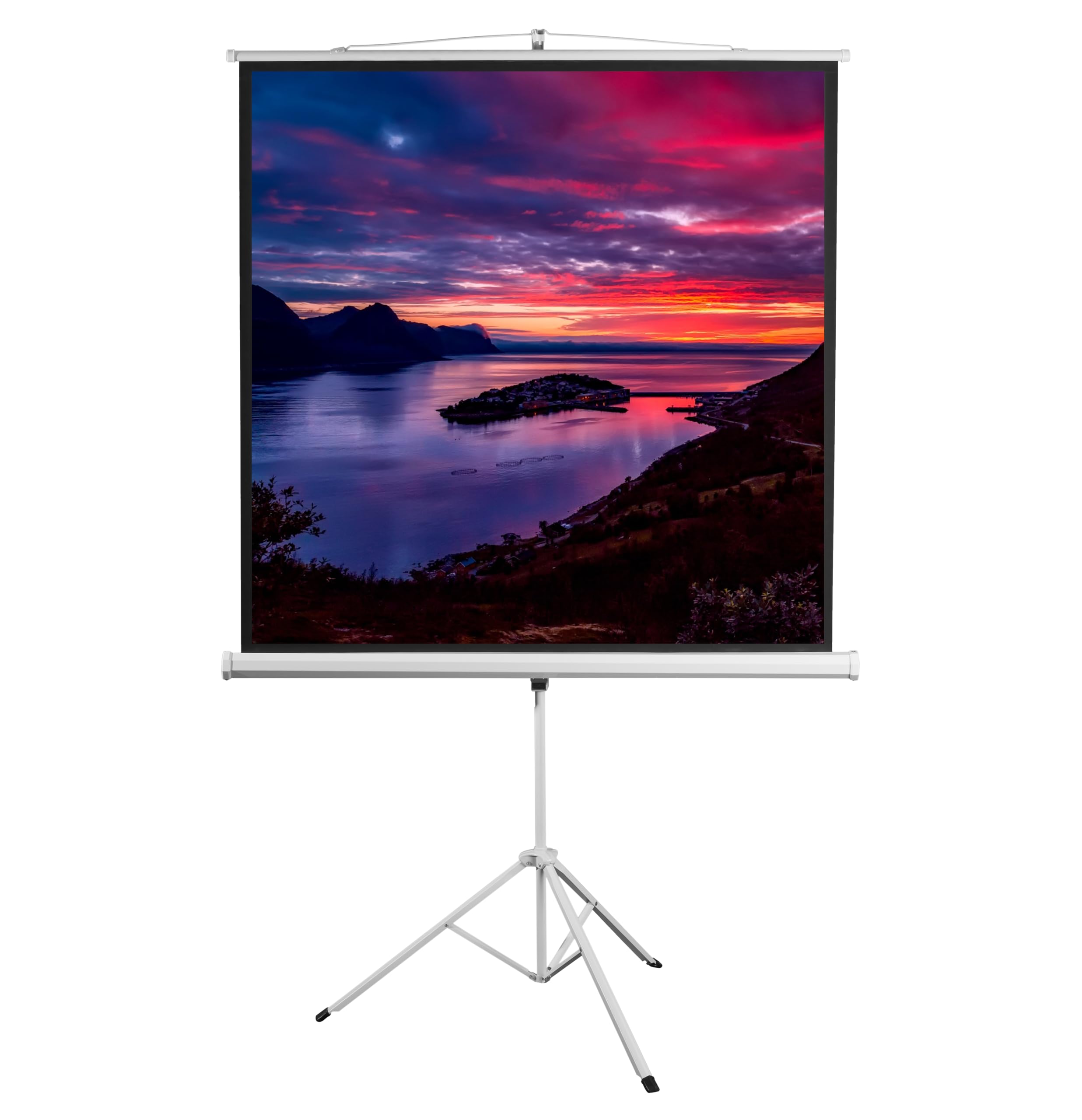 SBOX 504145 Schermo di Proiezione con Treppiedi 112" 200x200 PSMT-112V2 Bianco