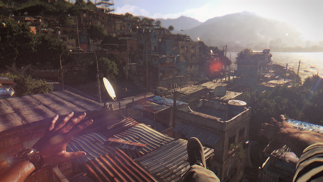 Dying Light - PlayStation 4 [Importación francesa]