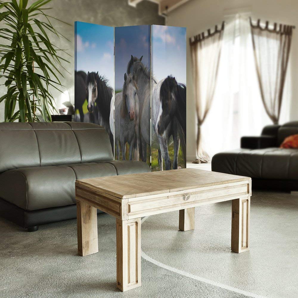 Feeby Paravent 3 pans Chevaux 110x150 cm Une Seule Côté Cloison de séparation Écran Pliant Foto Paravent Interieur Décoratif Mur Espagnol Impression sur Toile Chambre d'enfant Salon Bureau Noir