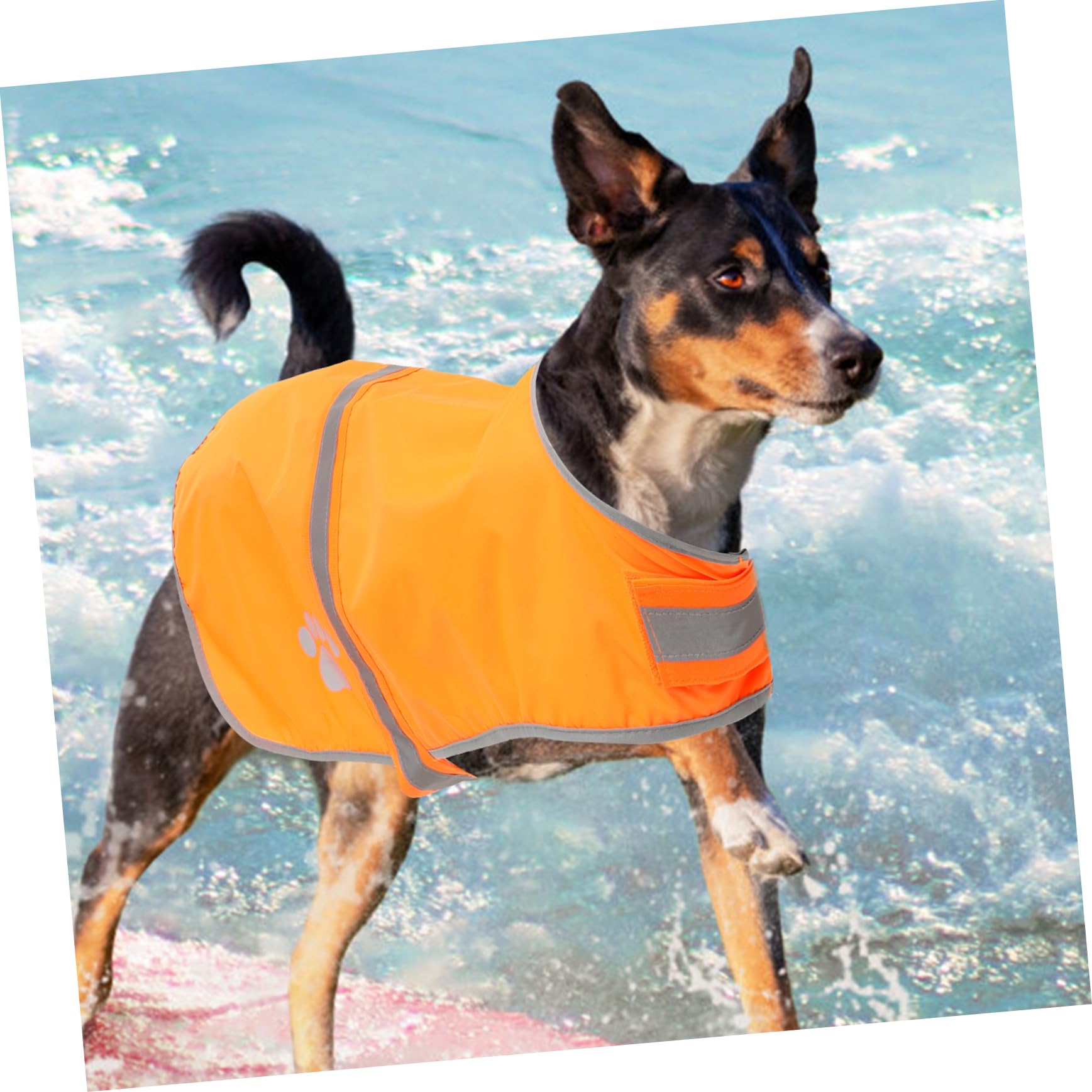 INOOMP 5St Hund reflektierende Weste Welpenweste Haustier-Hundekleidung Reflektorweste hundewarnwesten Hunde Warnweste Haustierweste Outdoor-Haustierkleidung Oxford-Stoff Orange