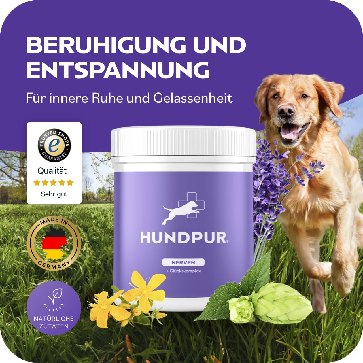 Nervios 300 g – Alimento adicional – Pellets para perros contra el estrés y la ansiedad – con hierba de San Juan, lavanda y magnesio – Fortalecimiento de los nervios del perro – Fabricado en