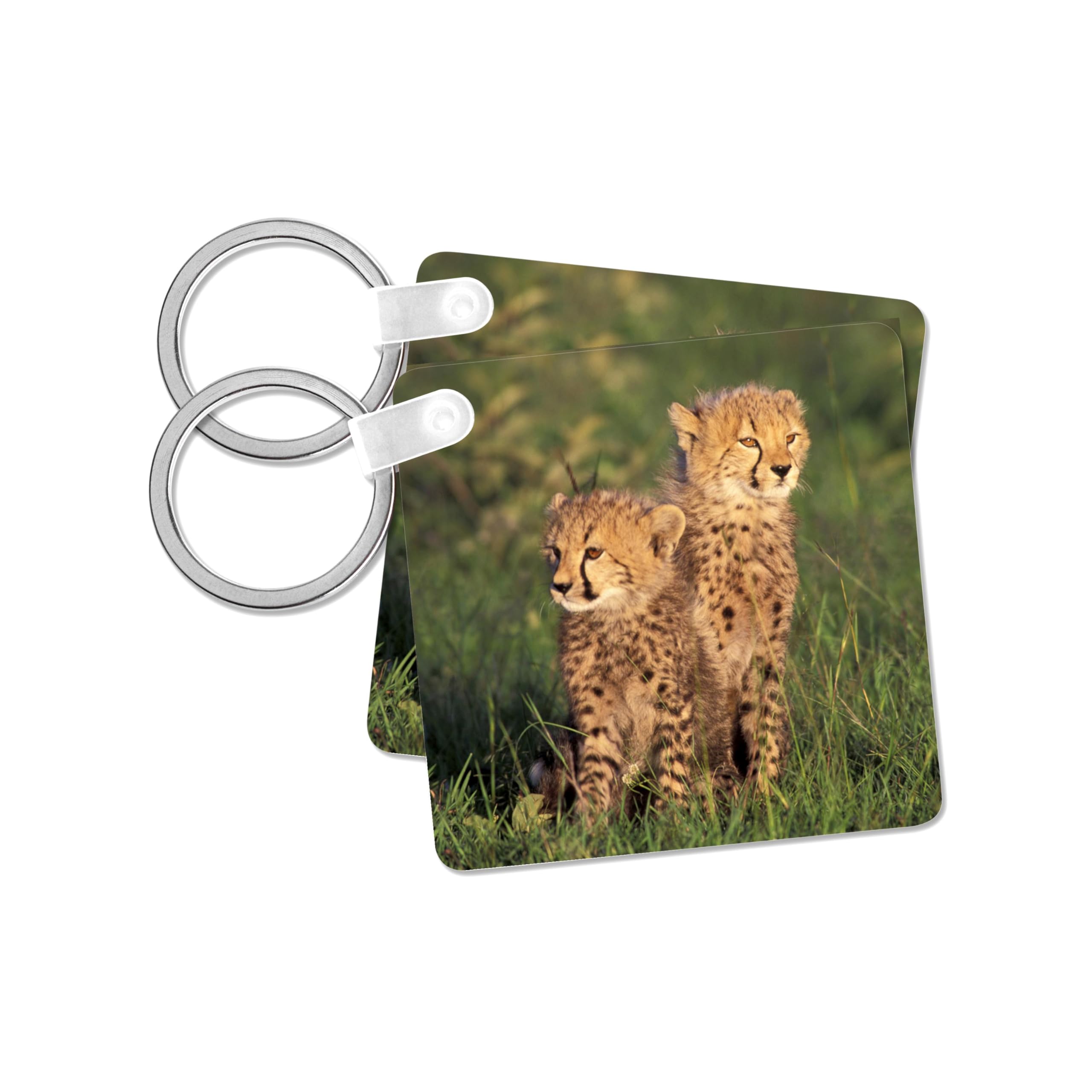 3dRose, Kenya, Masai Mara Game Reserve. Cheetah cubs-AF42 GJE0058 - Gavriel Jecan, set of 6 Key Chains