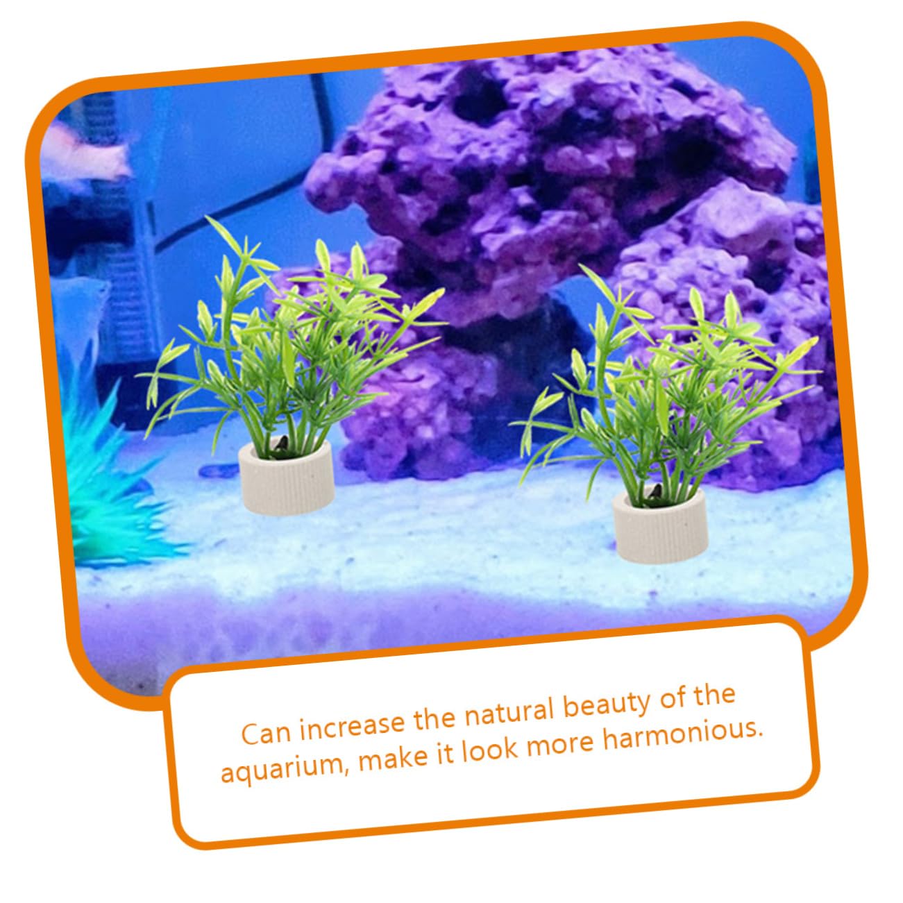YARNOW 5 Ensembles Tasse De Plantation Aquatique Pompe Base De Fixation pour Plantes Aquatiques Vide Pondoir Aquarium Decor Aquarium Tasse De Plante sous-Marine Accessoire 5 Pièces * 5