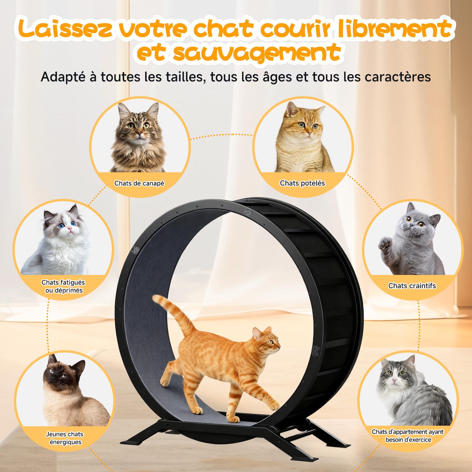 GTPLAYER Roue pour Chat XL 100 cm Ultra-silencieuse Métal Noir avec Tapis Amovible