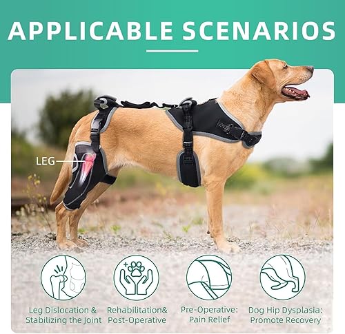 Miniatura 10 de Rodillera para perro para lesiones de ACL/CCL, ligamento desgarrado, rótula luxante, soporte de pierna trasera, alivio del dolor, calor