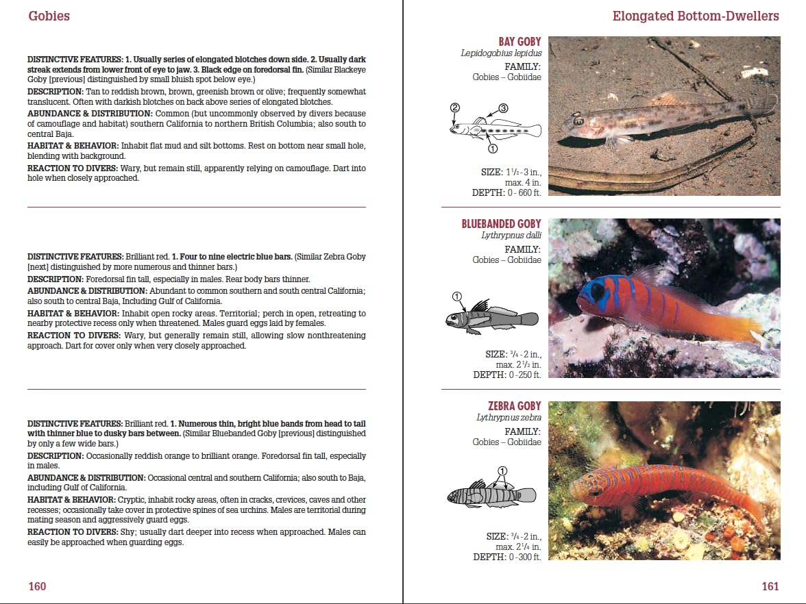 Coastal Fish Identification: California to Alaska