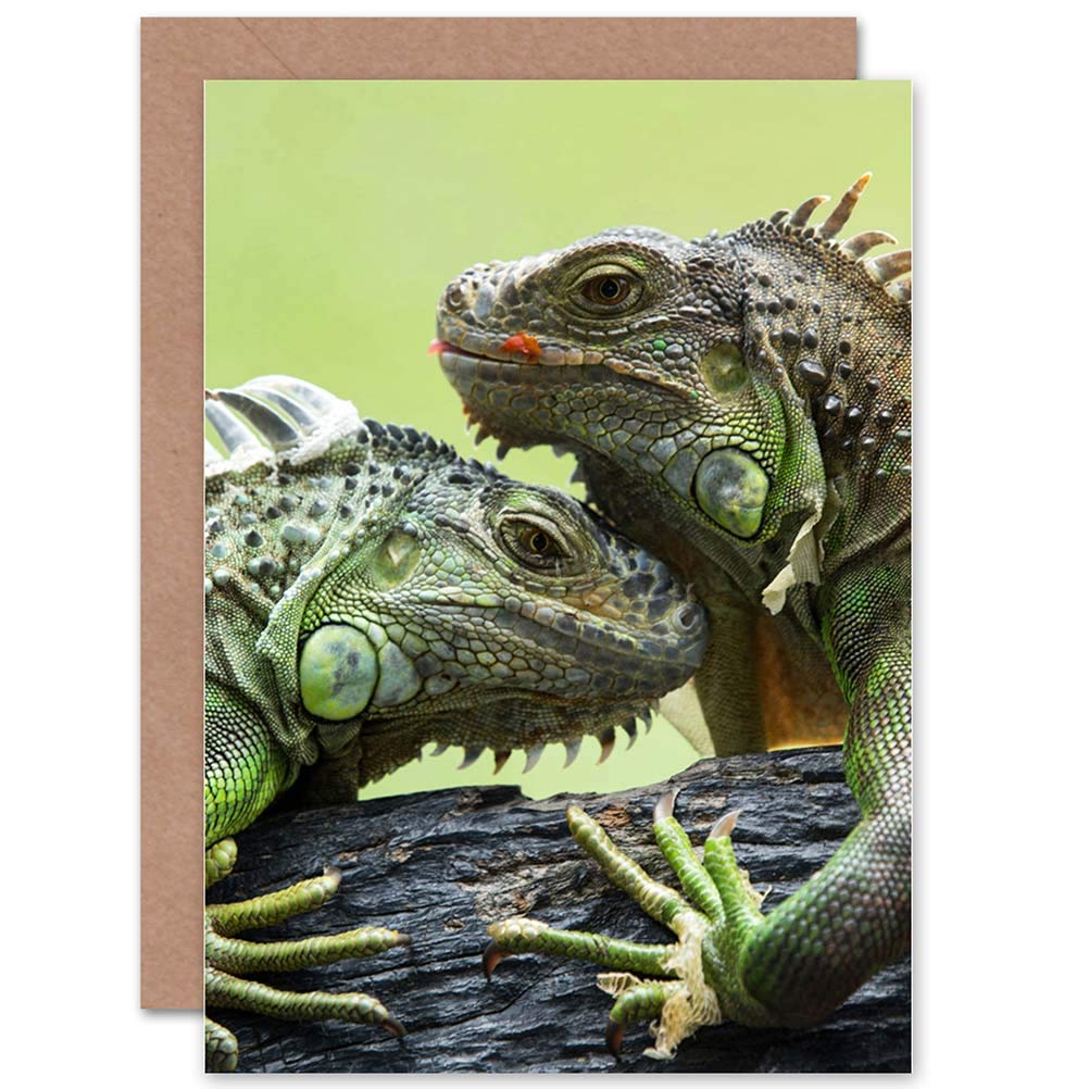 Wee Blue Coo IGUANA LIZARD REPTILE PHOTOGRAPHY ANIMAL CLOSEUP BLANK BIRTHDAY CARD
