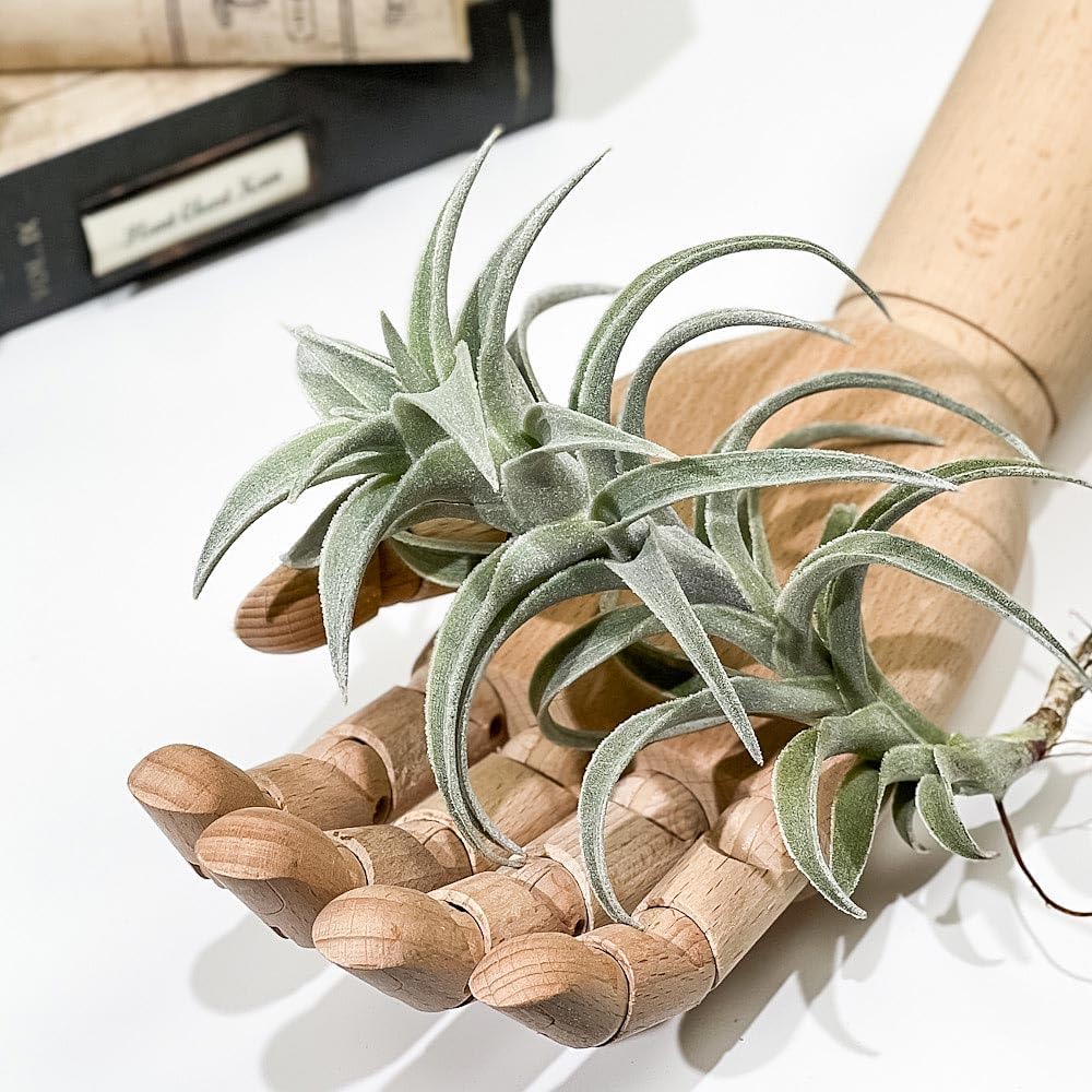 ダンガンロンパ エビテン 選べるアクリルスタンド 赤松楓 （水着） 苗木誠