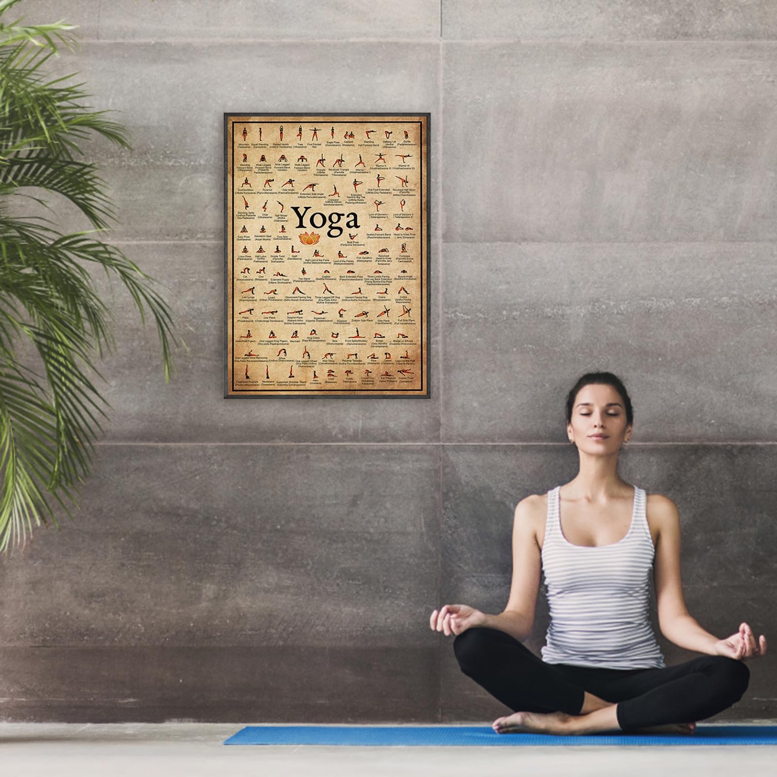 Naqqios Poster da yoga – poster per esercizi | poster per tutto il corpo | Tavolo resistente per principianti ed esperti per uso avanzato e professionale