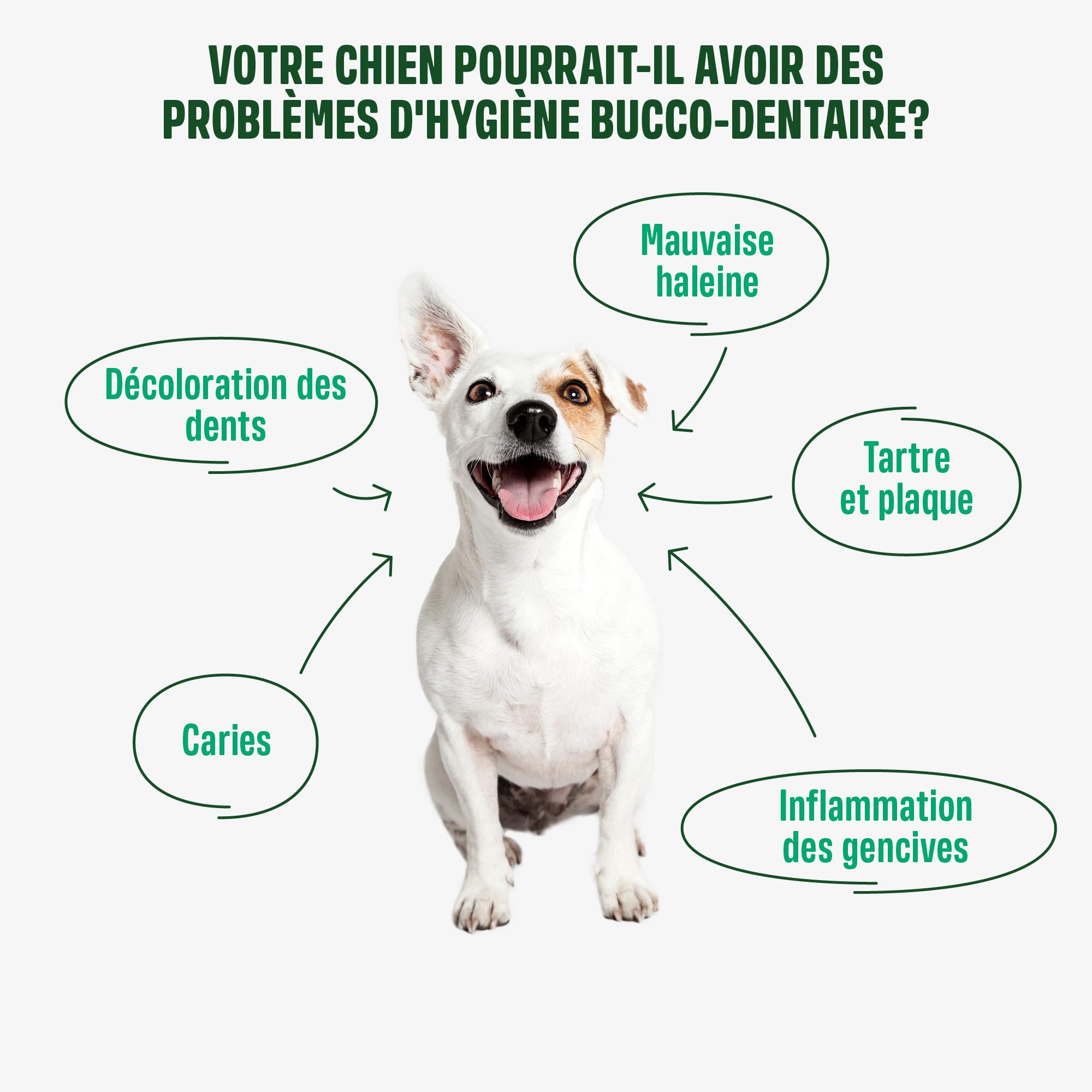 ivvi Snacks d'Hygiène Dentaire pour Chiens, 60 Snacks avec Poulet | Avec Menthe, Persil, Fenouil, Camomille, Huile de Coco, Algues Brunes, Favorise Dents Saines, Haleine Fraîche, Anti Tartre
