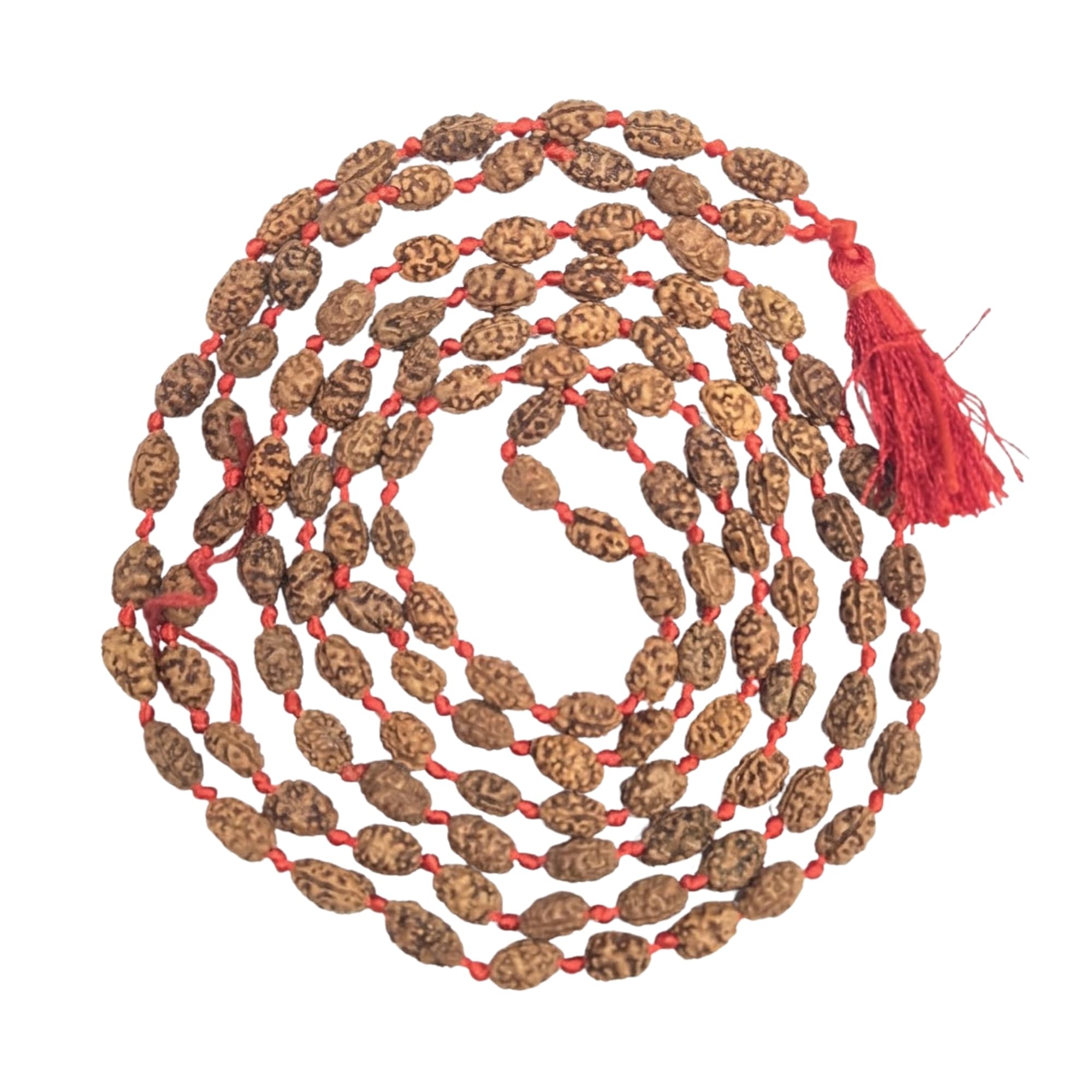 Artisan Crafted 2 Mukhi Rudraksha Mala | Spiritually Energized 108 Beads Japa Necklace | Handpicked Natural Prayer Mala | Traditionally Blessed Meditation Jewelry | Red Tassel-image-2
