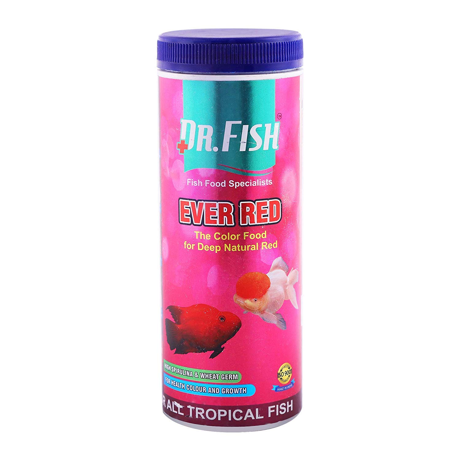 DR FISH Fish Flavored Young, Adult Fish Dry Food Ever, Red, 100 gm