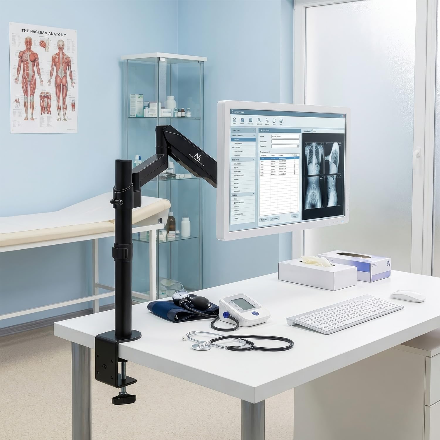 Maclean MC-775 Supporto per monitor con molla a gas 17 "-32" 8 kg Inclinabile Rotabile