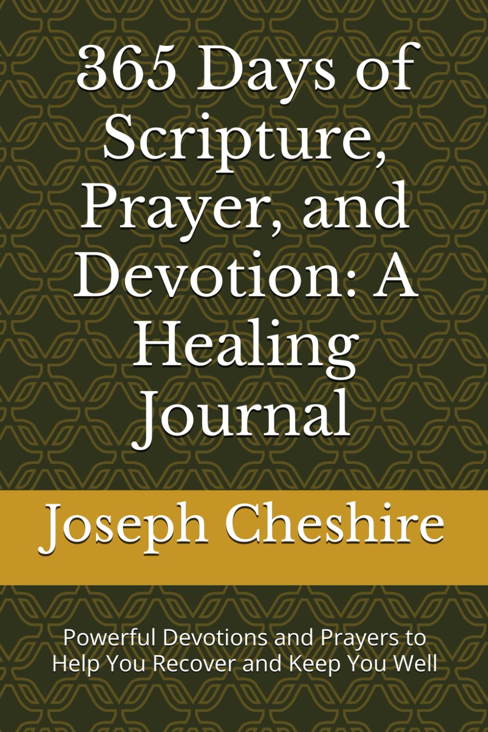 365 Days of Scripture, Prayer, and Devotion: A Healing Journal: Powerful Devotions and Prayers to Help You Recover and Keep You Well