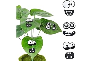 Cute Plant Magnets for Potted Plants Decor