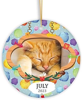 Personalized Name & Photo Dog Cat Pet Animal Memorial Keepsake Ornament Gift, Custom Gift for Cat Lover Ornament, Keepsake Loss of Dog