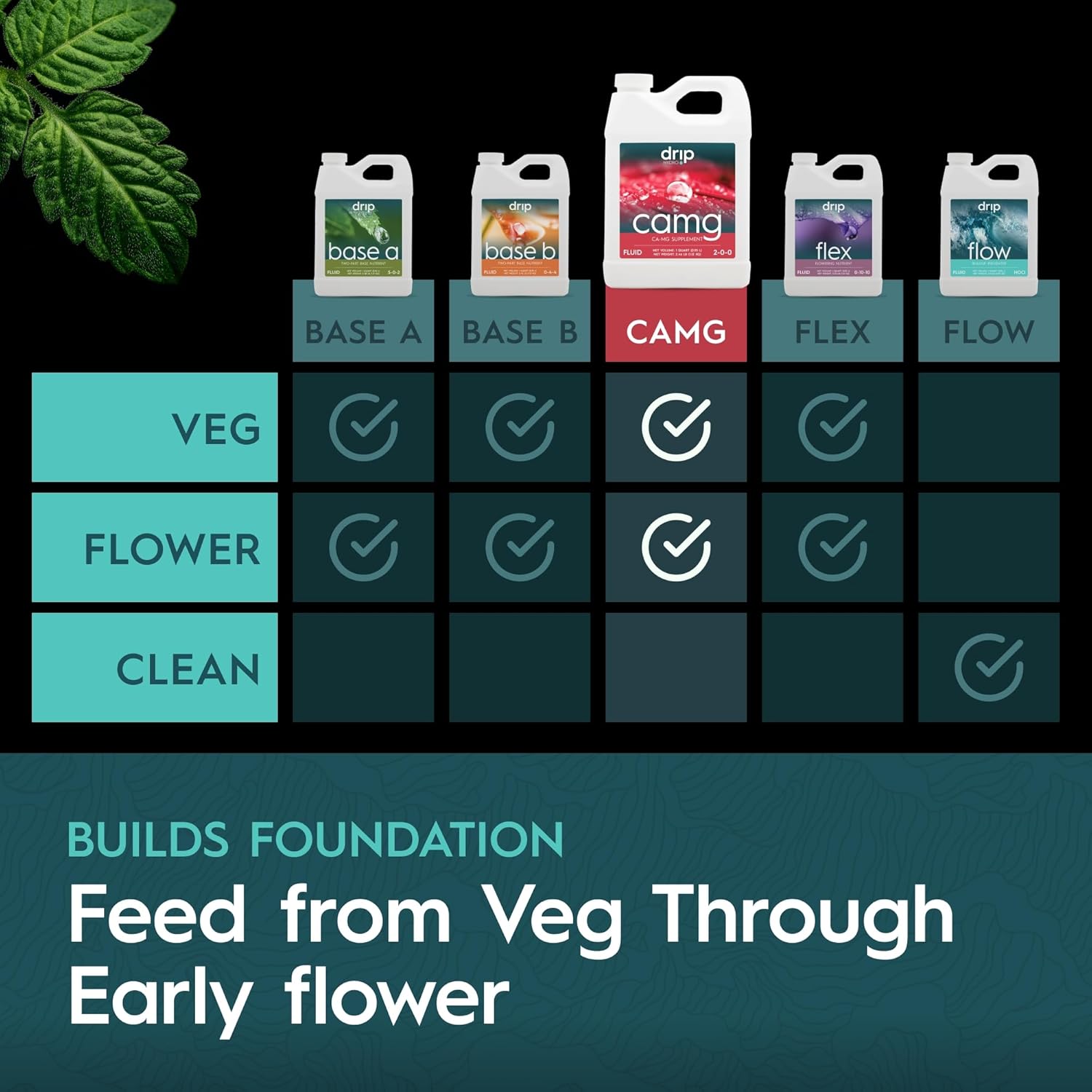 CaMg Quart | High-Concentration Calcium and Magnesium Supplement with Nitrogen and Iron | Essential Micronutrient Blend for Vigorous Plant Growth