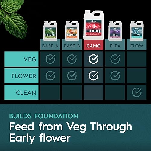 Miniatura 2 de CaMg Quart  Suplemento de calcio y magnesio de alta concentración con nitrógeno y hierro  Mezcla de micronutrientes esenciales para un crecimiento