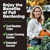 Vista 541 de HOME GROWN Semillas de diente de león para plantar 600 semillas de hierbas medicinales tradicionales (~ 0.01 oz) sin OMG cultivan hojas y flores