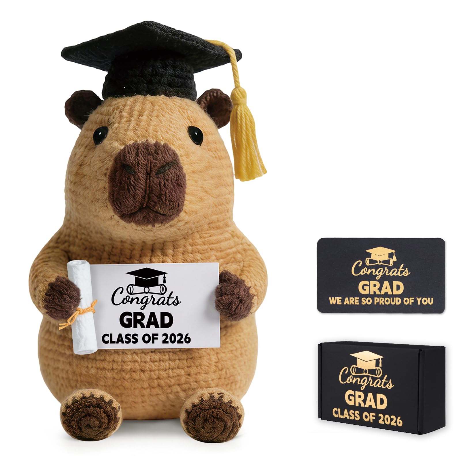Peluche capybara de remise de diplôme : cadeau de soutien émotionnel unique