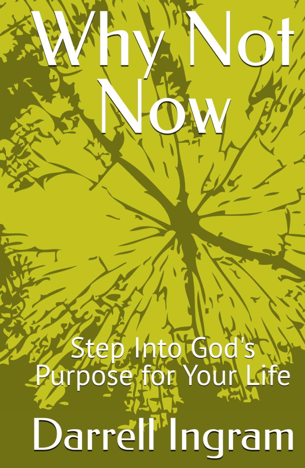 Why Not Now: Step Into God's Purpose for Your Life