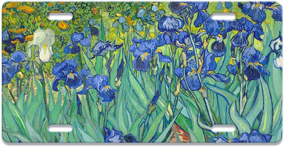 WIRESTER Placa decorativa frontal para automóvil, placa de matrícula novedosa para automóvil, SUV, camión, vehículo, metal de aluminio resistente, 6