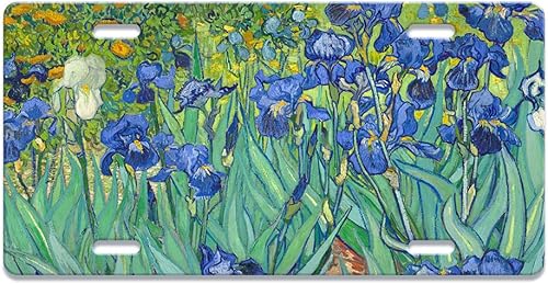 WIRESTER Placa decorativa frontal para automóvil, placa de matrícula novedosa para automóvil, SUV, camión, vehículo, metal de aluminio resistente, 6