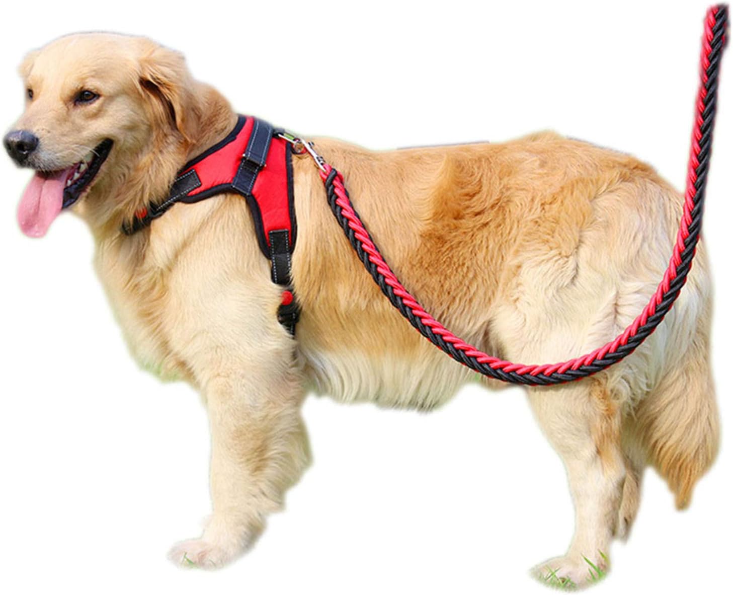ANTOLE No Pull Dog Harness and Reflective Leash Set Adjustable Comfortable Vest Harness for Medium Large Dogs Outdoor Training Walking Easy to Control (M)