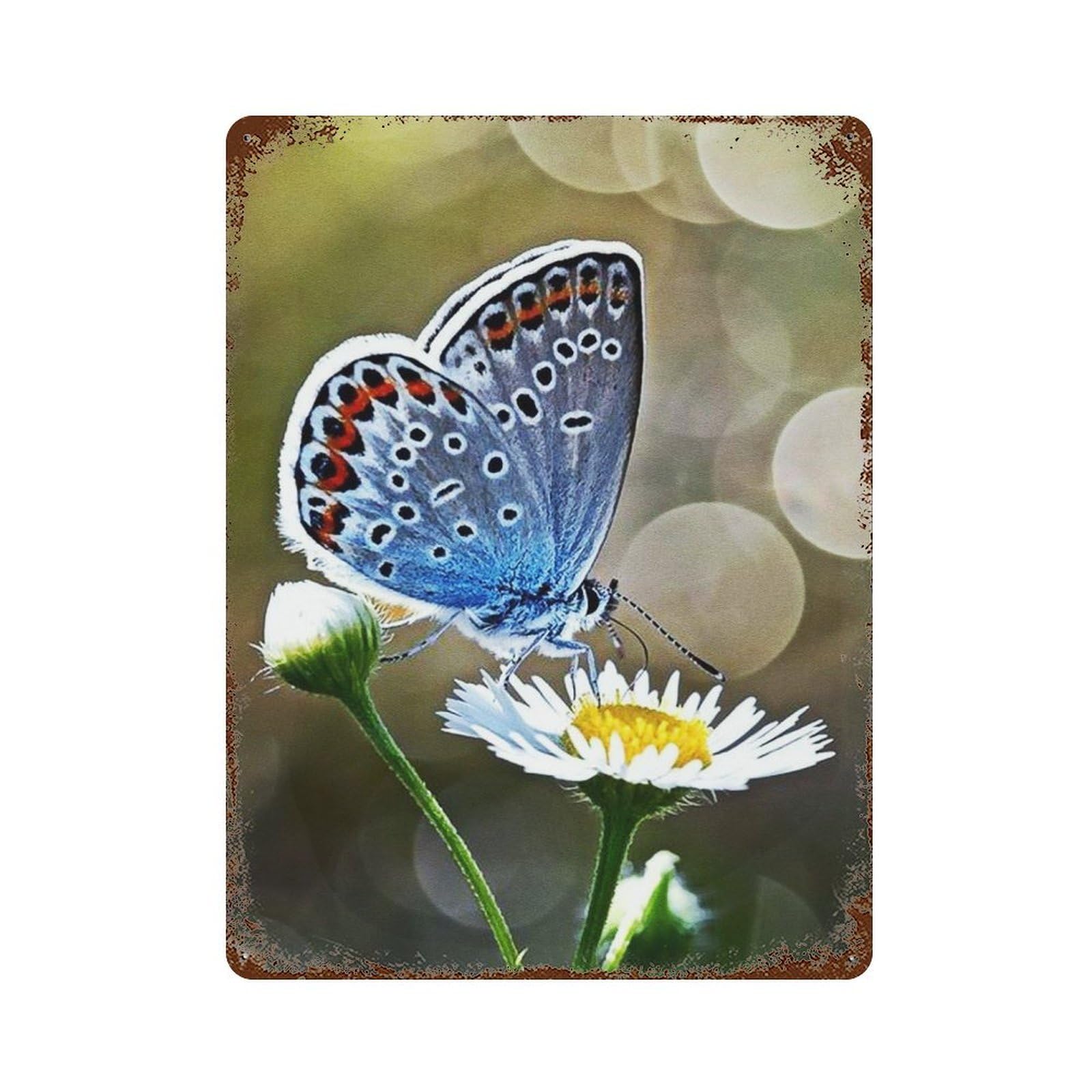 The Beatuful Morning Distressed Metal Wall Sign 15.7"x11.8", Industrial Home Decor for Garage, Pub Or Kitchen