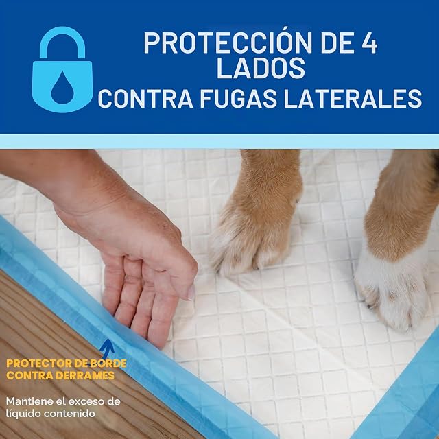 Foto 3 de 8 de Four Paws Wee-Wee - Almohadillas para orina Grandes sin Perfume de Rendimiento Superior para Perros…