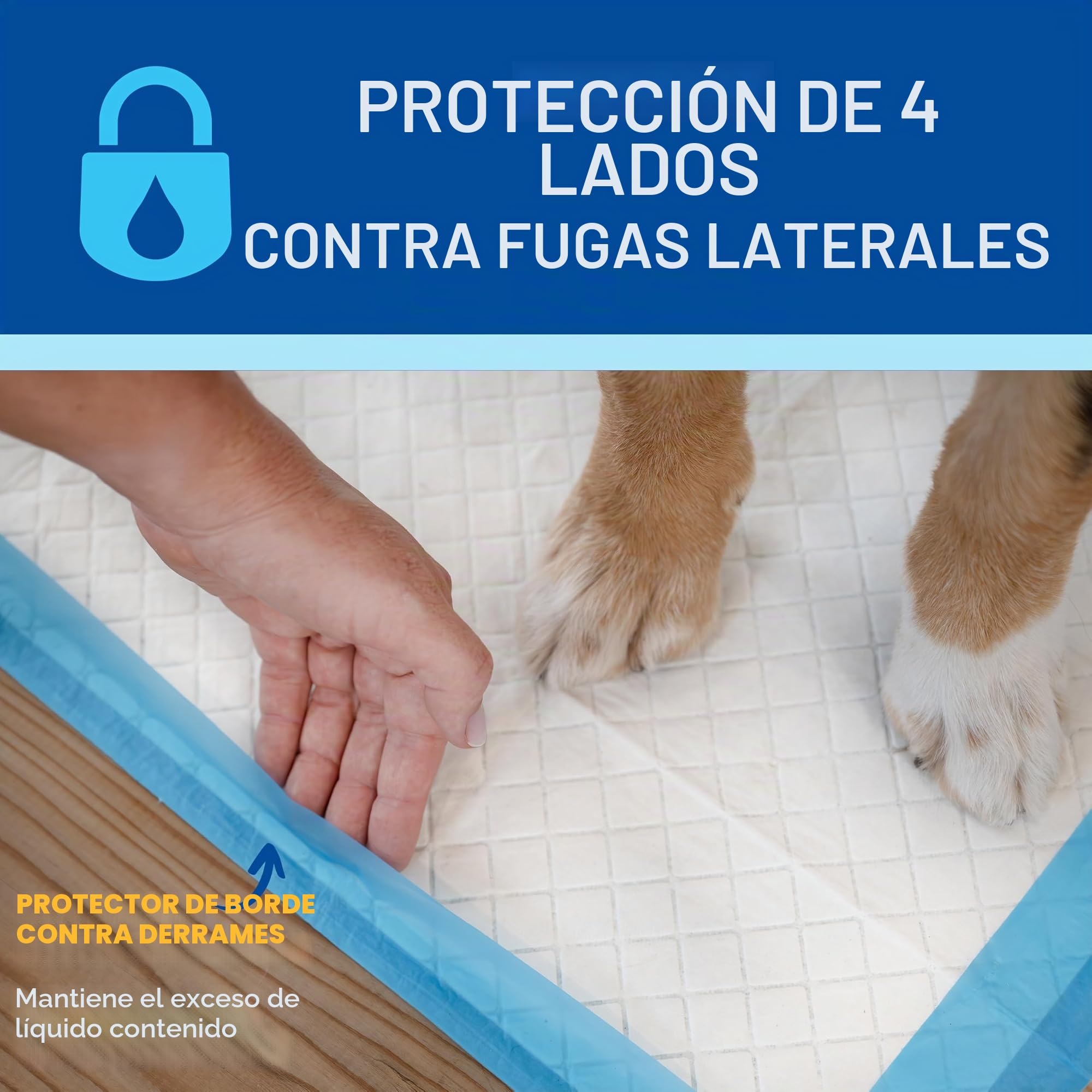 Four Paws Wee-Wee - Almohadillas para orina de rendimiento superior para perros con protección de borde de barrera de escorrentía, almohadillas de entrenamiento para cachorros y perros, suministros de