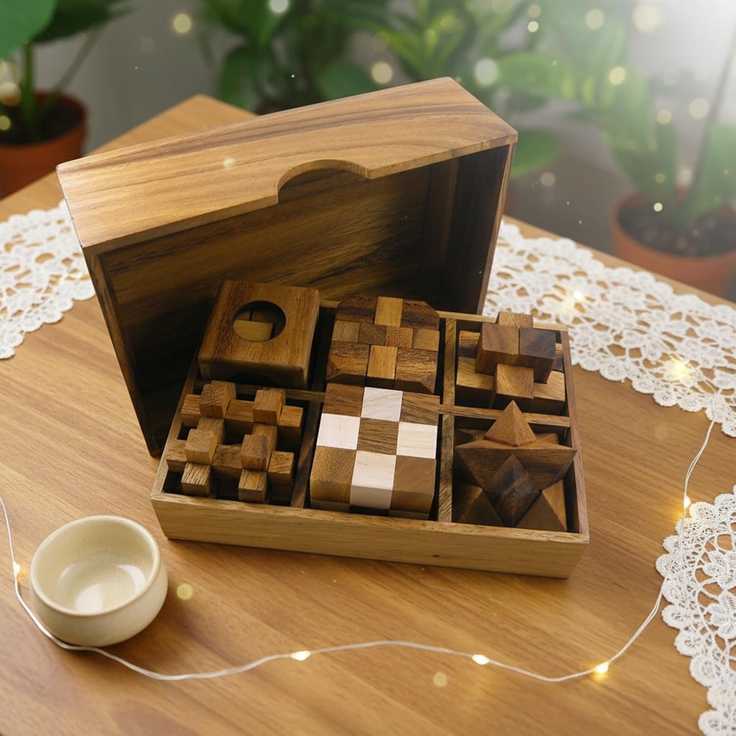 6 Wooden Puzzle Gift Set in A Wood Box - 3D Unique IQ Puzzles