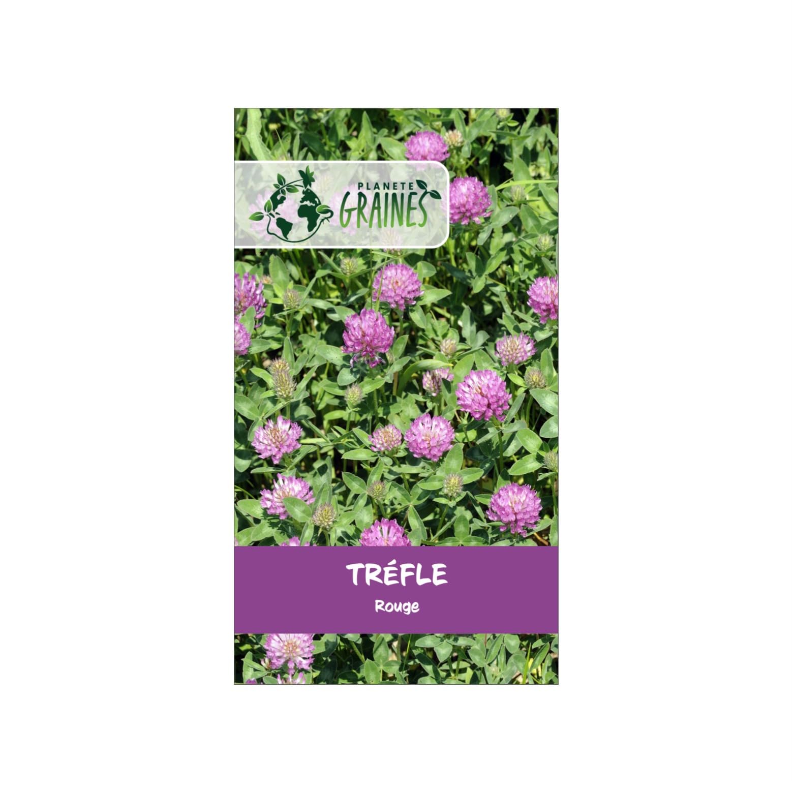 440 Graines de Trèfle Rouge - Alimentation pour tortue et Jardin Facile
