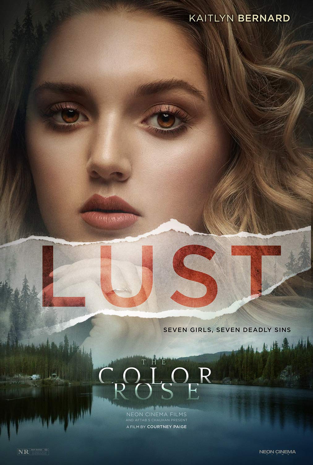 The Color Rose (Kaitlyn Bernard) 2020 Poster 12x18 : Amazon.ca: Home