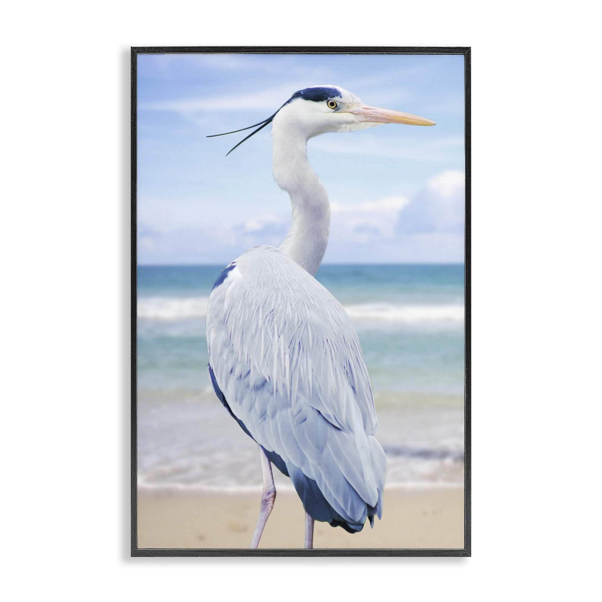 Stupell Industries 'Vacationing Heron by Seaside', Framed Giclee Art, Black, 16 x 24 Inches, Easy to Hang and Sturdy, Made in USA, by Marcus Prime