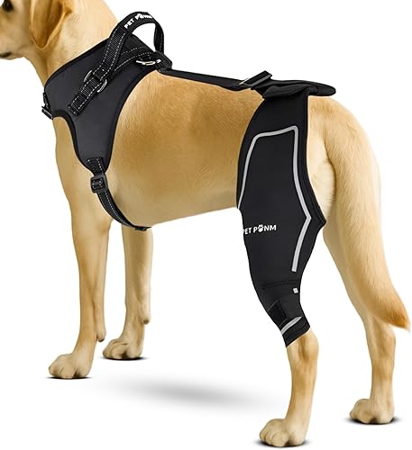 Miniatura 8 de Cómoda rodillera para perro para ambas patas traseras con arnés - para desgarro del ligamento cruzado anterior, rótula luxante, osteoartritis e